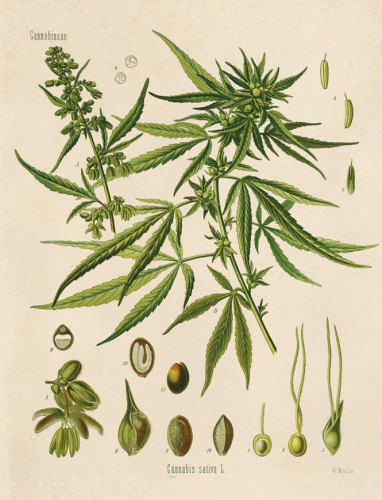 Screenshot_2024-05-22-12-47-30_kindlephoto-3460157