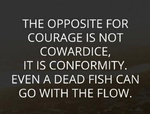 IMG_20240515_040013_181