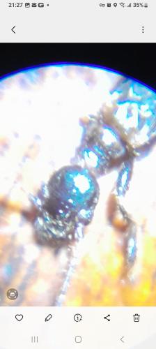 Screenshot_20240520_212717_Gallery