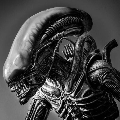 9708980678_4418a1a39d_b