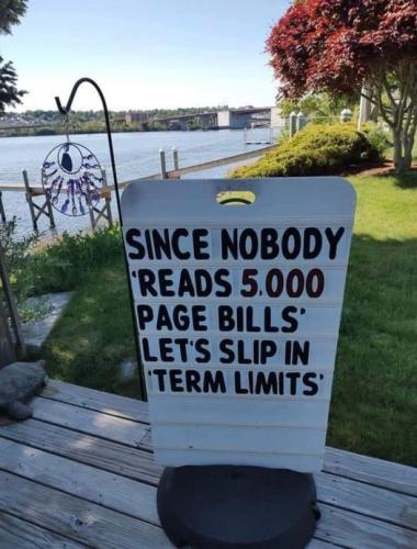 term limits2