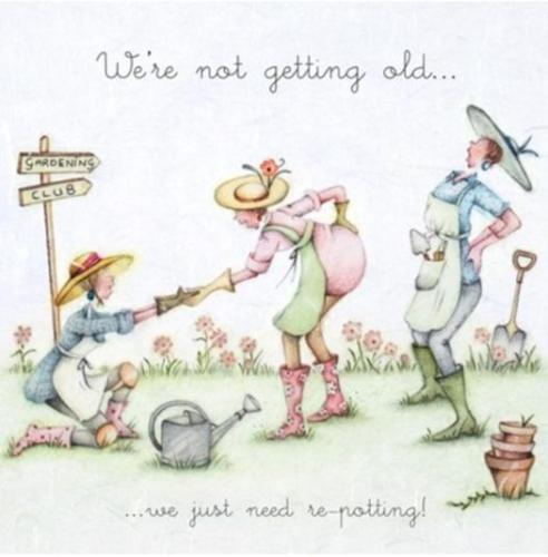 436498356_467002809170373_2366197609699646750_n