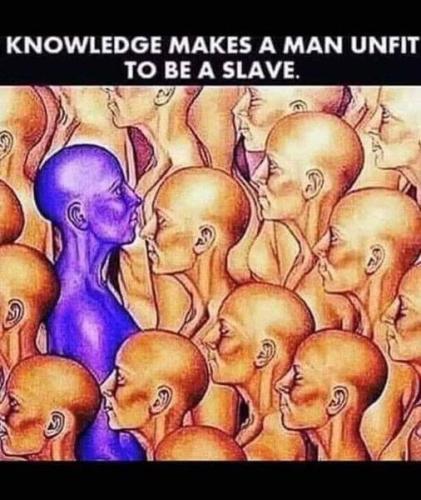 442410153_409092142099700_7127655009909857379_n