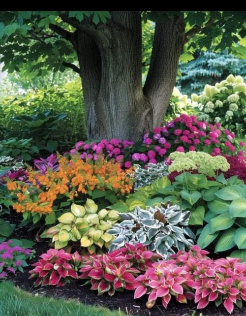 FB_IMG_1717081448430