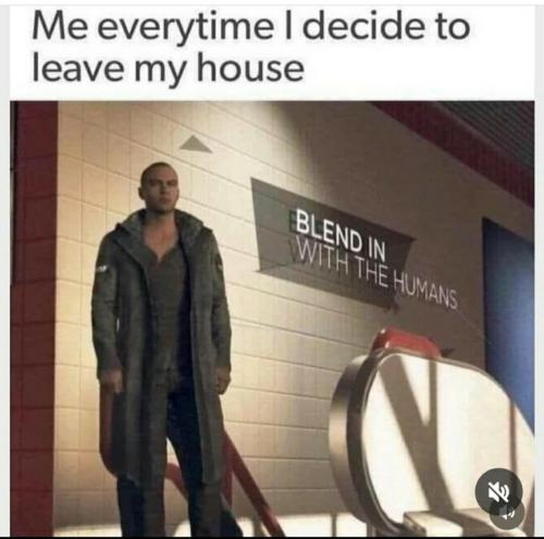 image_D7E3B61A-0066-489D-9DF8-26E78D5D93A1