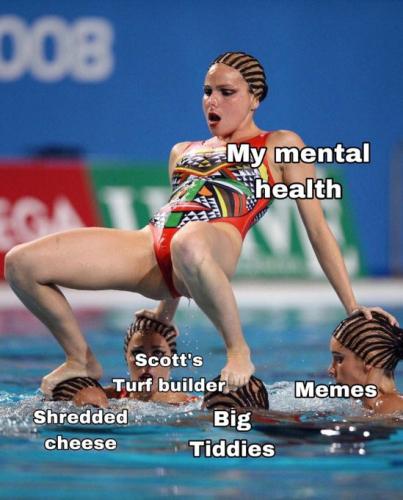 8bd7481d-42fc-451e-b658-a202ea70952e