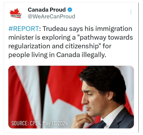 citizenship for illegals