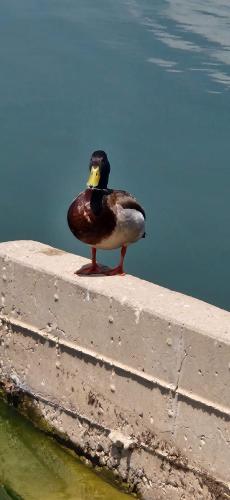 19:21:20 GMT-0500 (CDT)