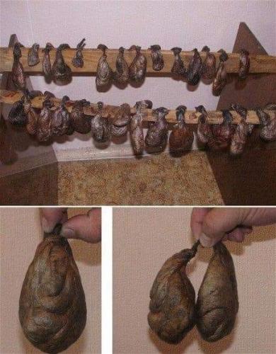 440961281_26123475440631029_3447879528873580338_n