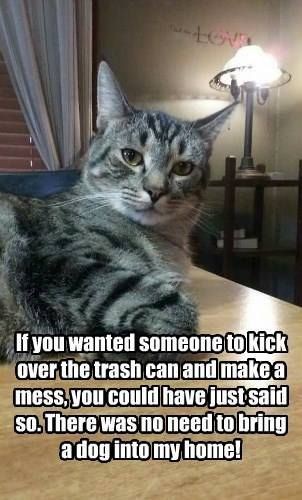 dbddd411155b55d5b909a7546ad9497f