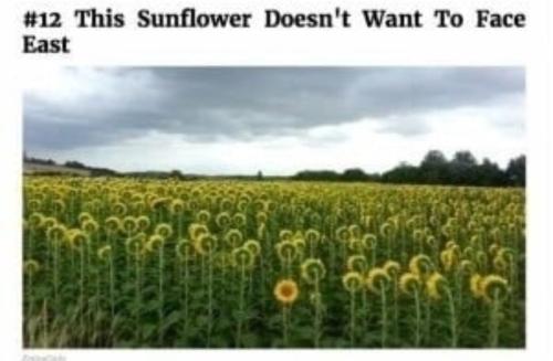 Screenshot_20240527-073352