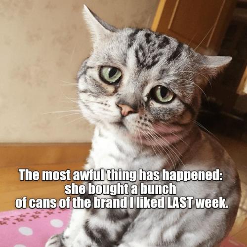 bf54c4f26b9d2795e4a2b2dbadc19d79