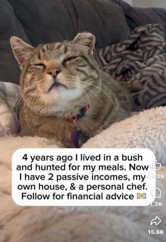 438086877_830508055788054_4650798768590189068_n