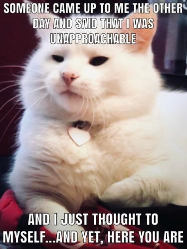 662e89609077116e0c31acf00e9d4450