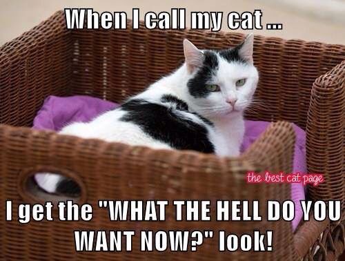 ebcaeeed55ee314182301e2e3a565b2b