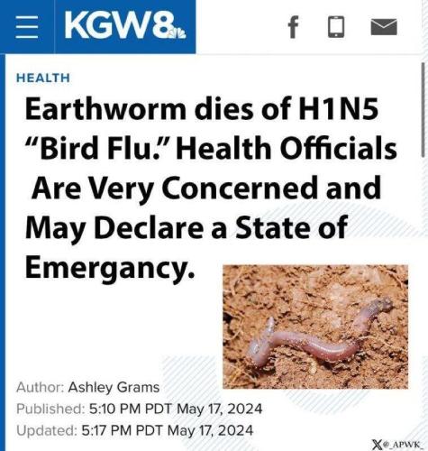 Worm bird flu