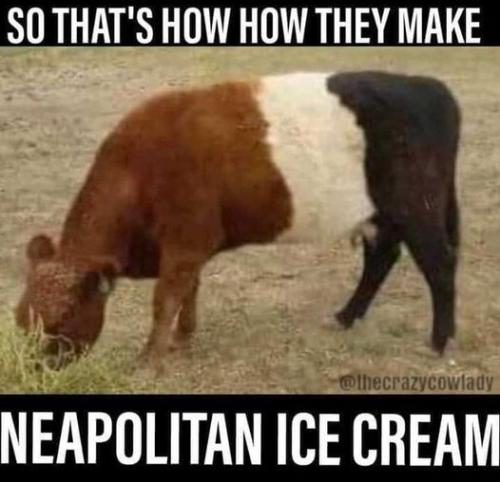 442494620_8206721076024798_3790047058446187043_n