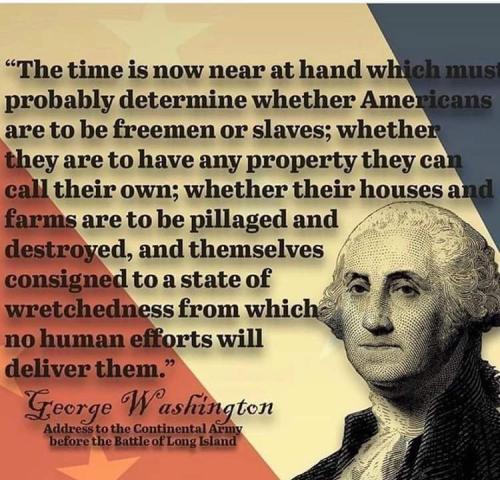 FB_IMG_1598853921404