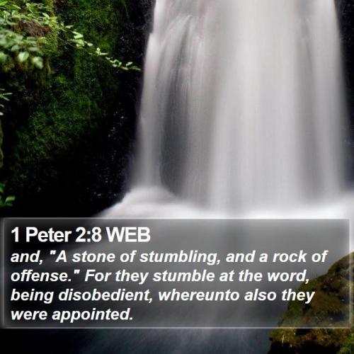 1 Peter 2_8