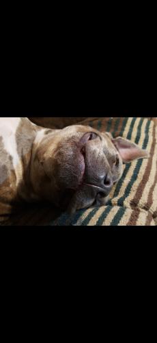 Screenshot_20240516_053058_Gallery