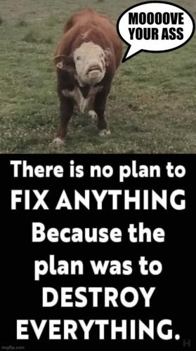 CLOWARD PIVEN BIDEN666