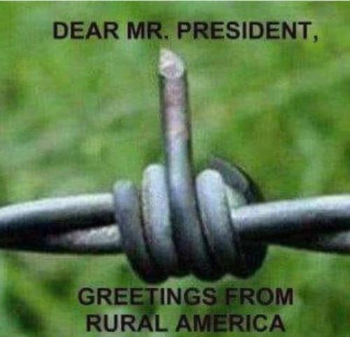 438696636_835268615288083_981791903324153422_n