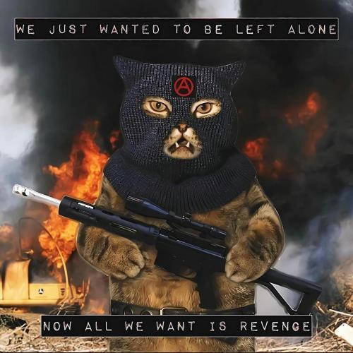 image_BC6546F2-DAEC-4DE3-A789-1B15128B5FAD