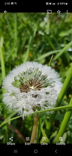 Screenshot_20240522_144521_Photos