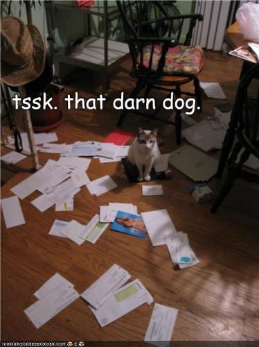 62e0f01696788a5e93faa006d31a5404