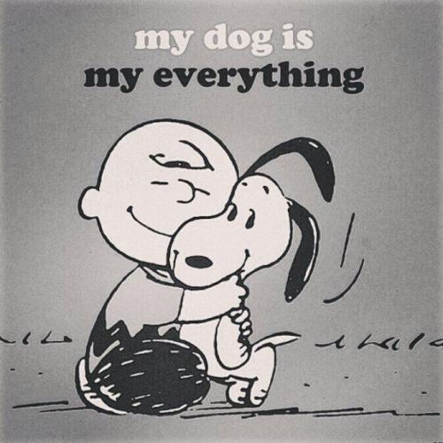 68a1f3afb4077749918df6eed5d404ff