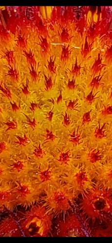 Screenshot_20240527_192634_Photos