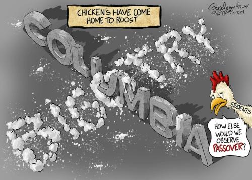 chickens have come home to roost.960px