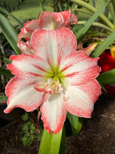 09B14CC2-6440-4398-BB24-9BC98B7C6F6D