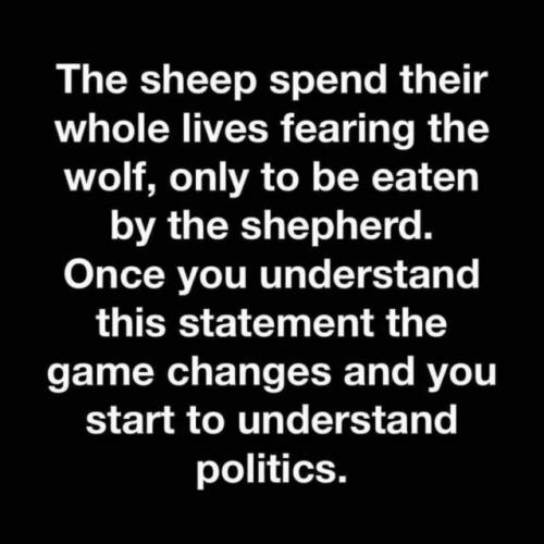 000000000000000000000000000000000000000000000000000000000000000000000000000000000000000000000000000000000000000000000000000000000000000000000000000000000000000000000000000000000000000000000000000000ncq