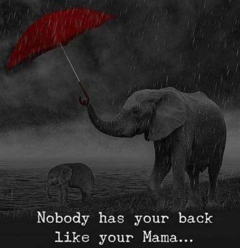 FB_IMG_1715356939085