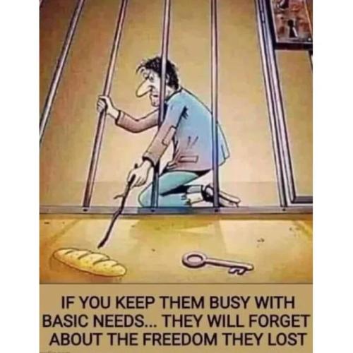 IMG_20240525_072724_068