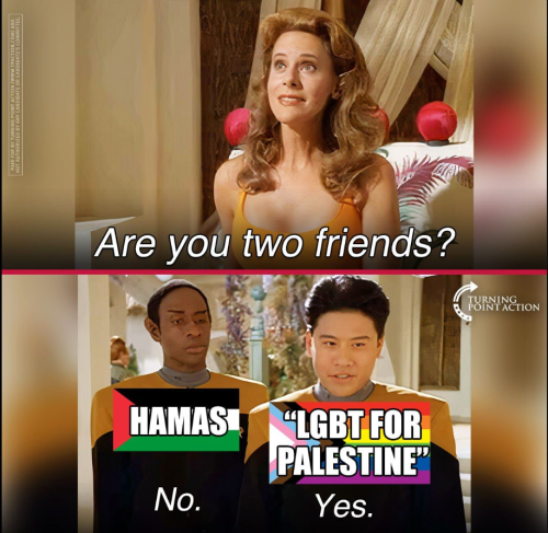 Screenshot 2024-05-10 081314