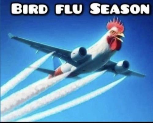 Bird Flu Season chemtrails