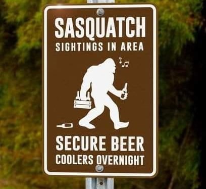 440885077_122145967346138271_6340761127242231891_n