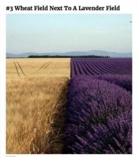 Screenshot_20240527-073301