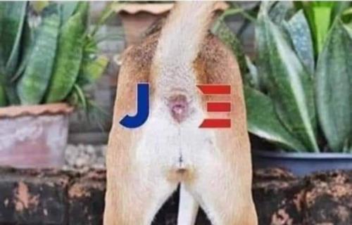 FB_IMG_1715857647384