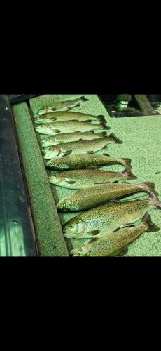 Screenshot_20240512_082353_Gallery