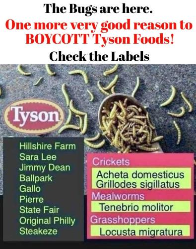 One more very good reason to Boycott Tyson