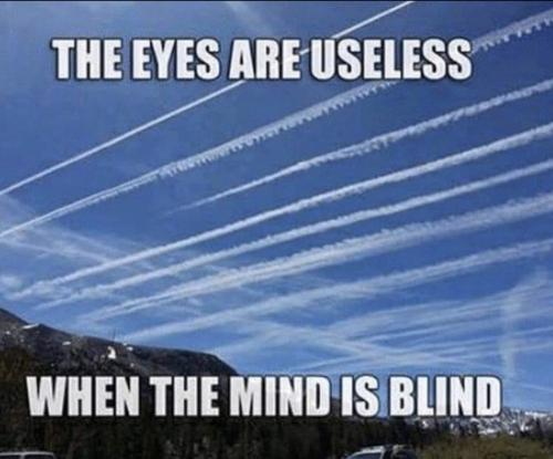 Screenshot_20240530_042448_Facebook