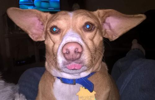 FB_IMG_1612708479226