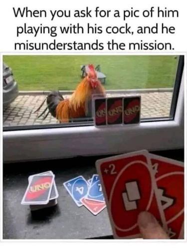 image_069BBFC3-77AF-479B-AF93-EE92D9F760B7