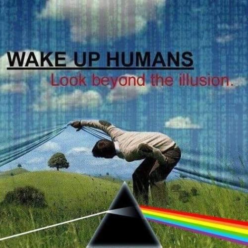 442478821_444578975124967_4082583823998235032_n
