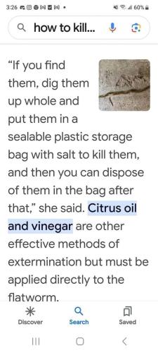 dig them up