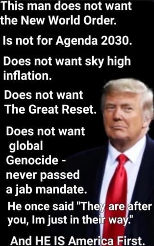 91834f23-f775-4d41-bb79-20321489c18e