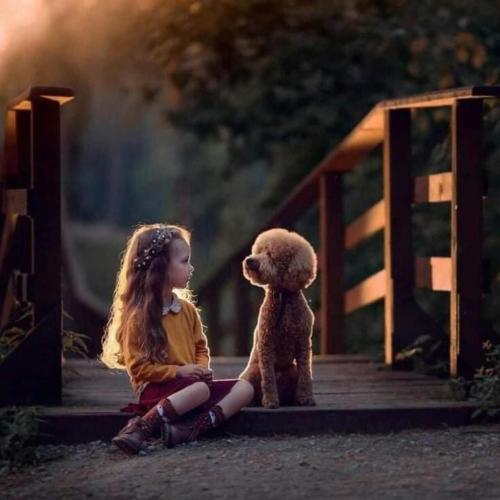 img-afa4e51b